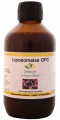 Bild 1 von Liposomales OPC (Beerenauszug) - 250 ml